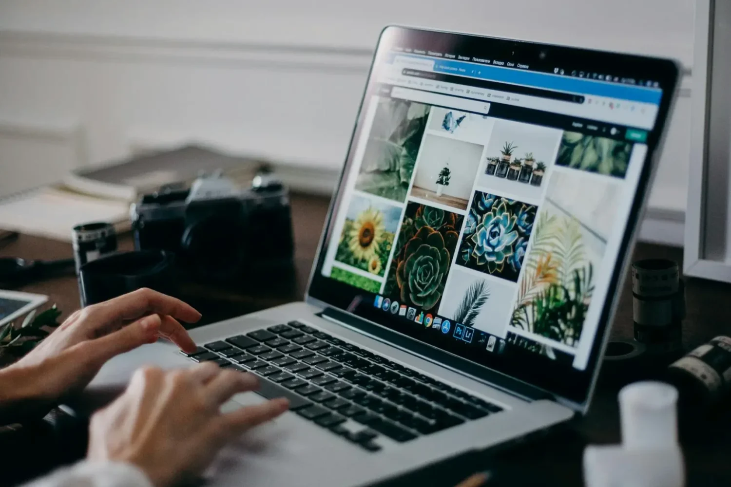 Web Tasarım Web Tasarım